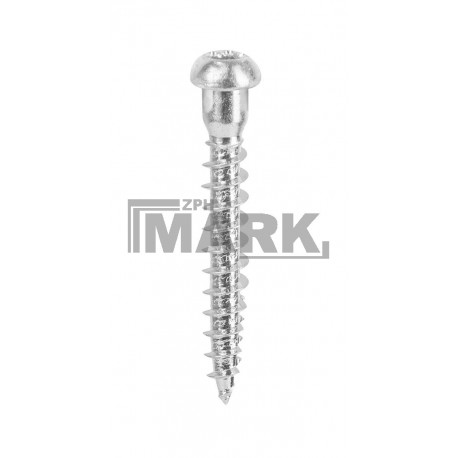SCREW FOR WOODWORK FITTINGS